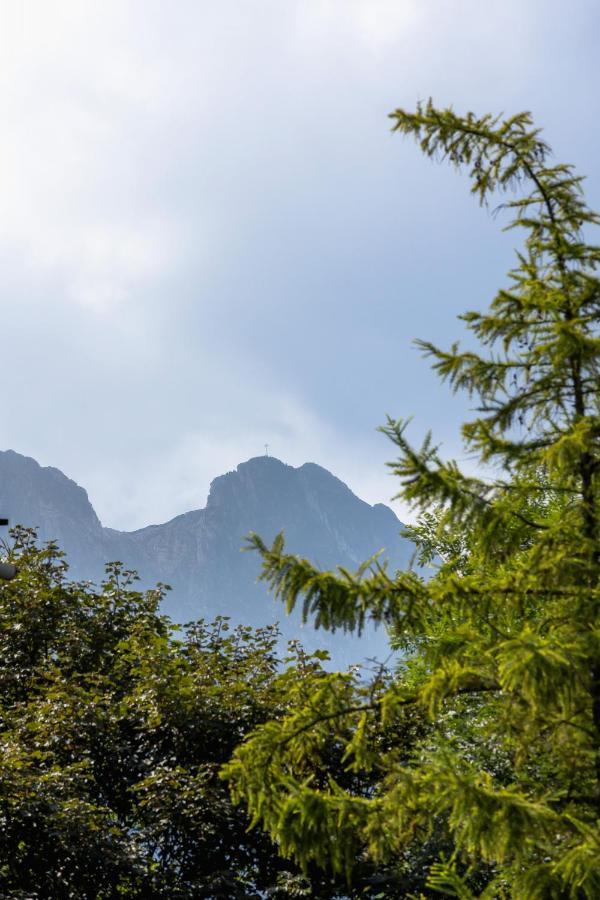 Apartments On Krupowki Street With Mountain View By Noclegi Renters Zakopane Buitenkant foto
